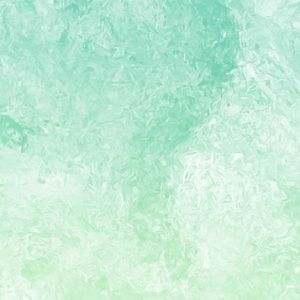 Meet your Posher, Viviana